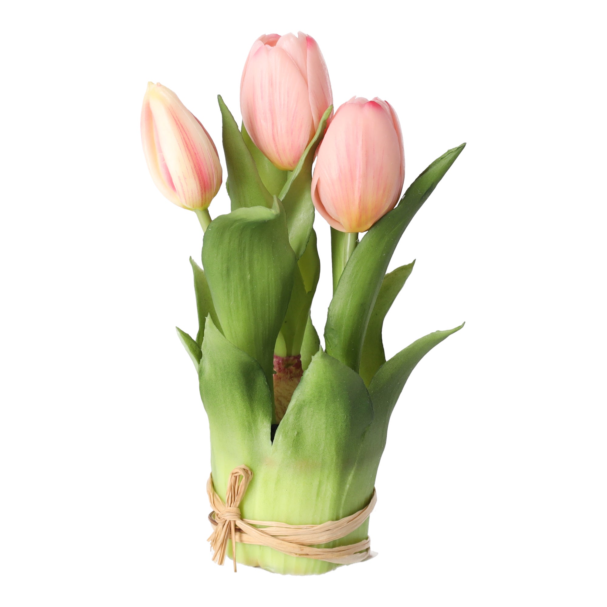 Tulp bosje licht roze 20 cm Tulp bosje licht roze 20 cm