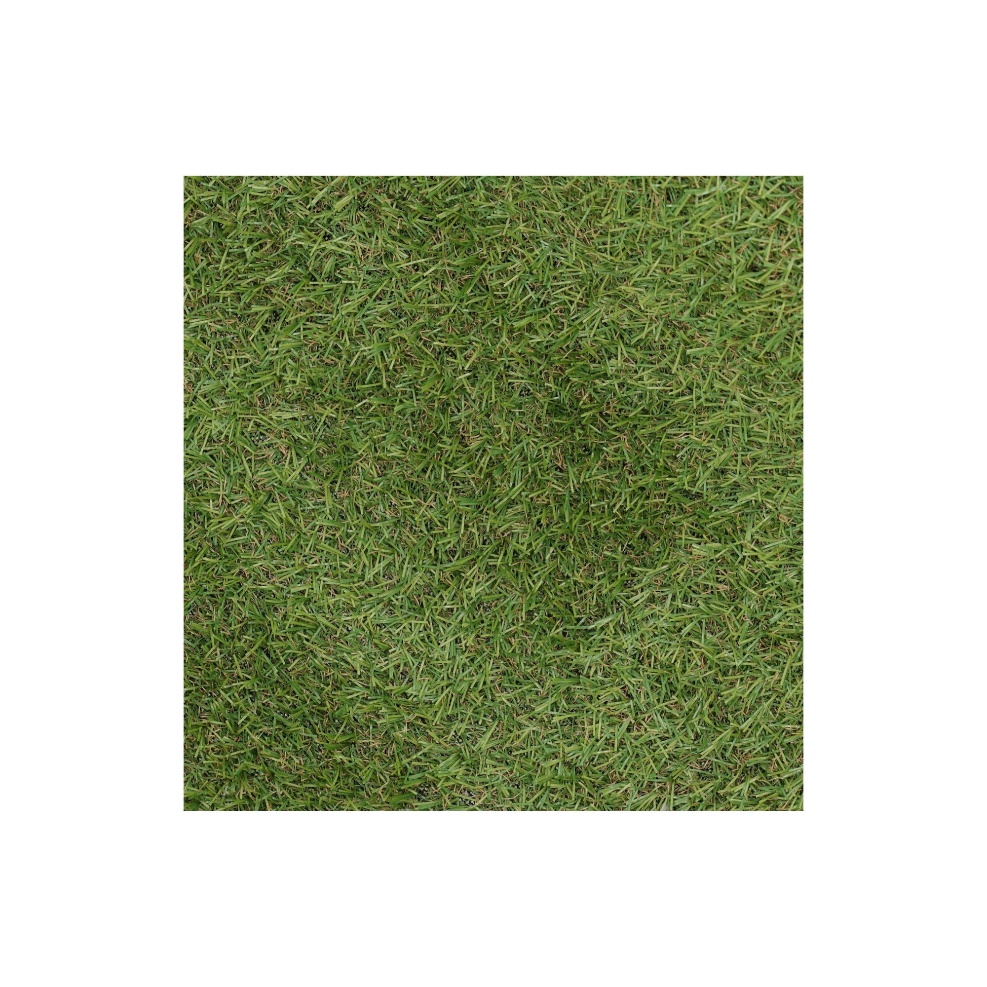 Grastapijt Carrow Road 1x2M Bel Garden Grastapijt Carrow Road 1x2M Bel Garden