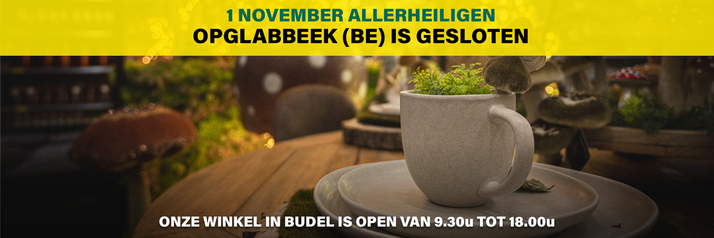 Openingstijden november